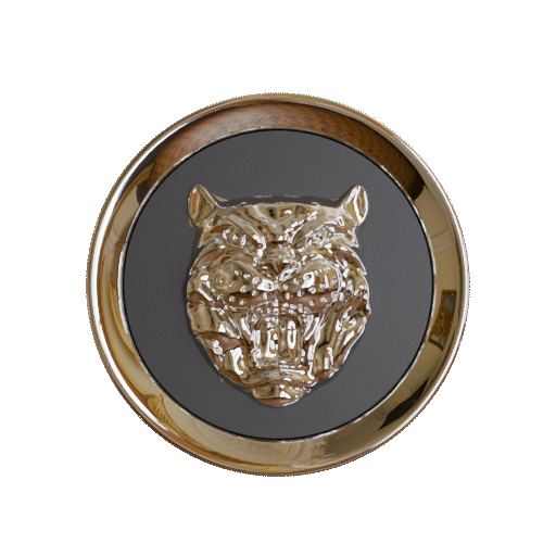 Ricambi 3D personalizzati ingranaggi meccanici coprimozzo Jaguar stampa 3D